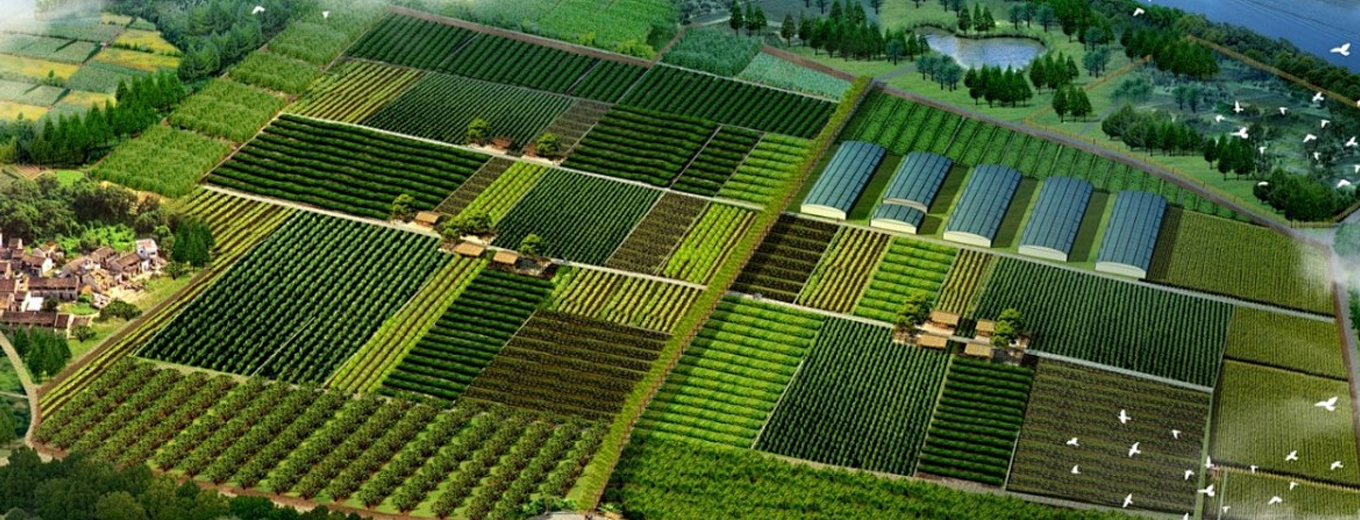 農業(yè)園區(qū)